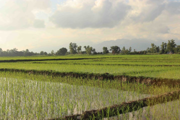 मेचीपारि जग्गा नेपालको, खेतीपाती भारतीयको